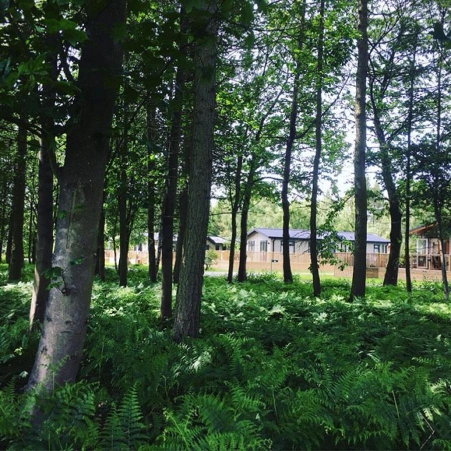 Hollicarrs - Stag Lodge York Ngoại thất bức ảnh