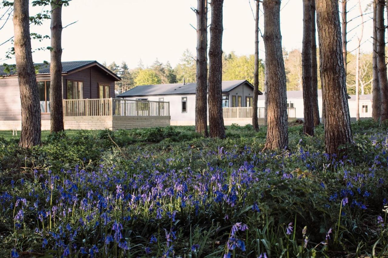 Hollicarrs - Stag Lodge York Ngoại thất bức ảnh