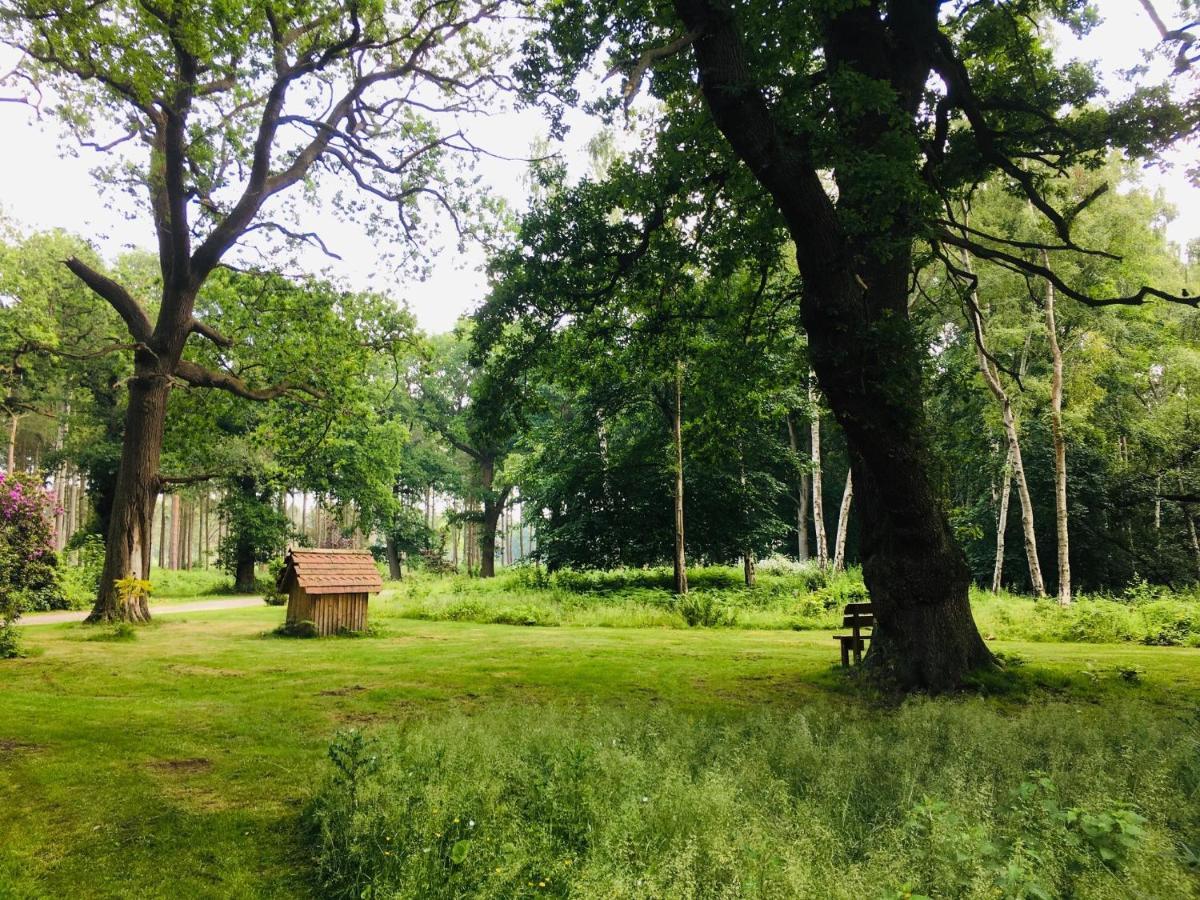 Hollicarrs - Stag Lodge York Ngoại thất bức ảnh