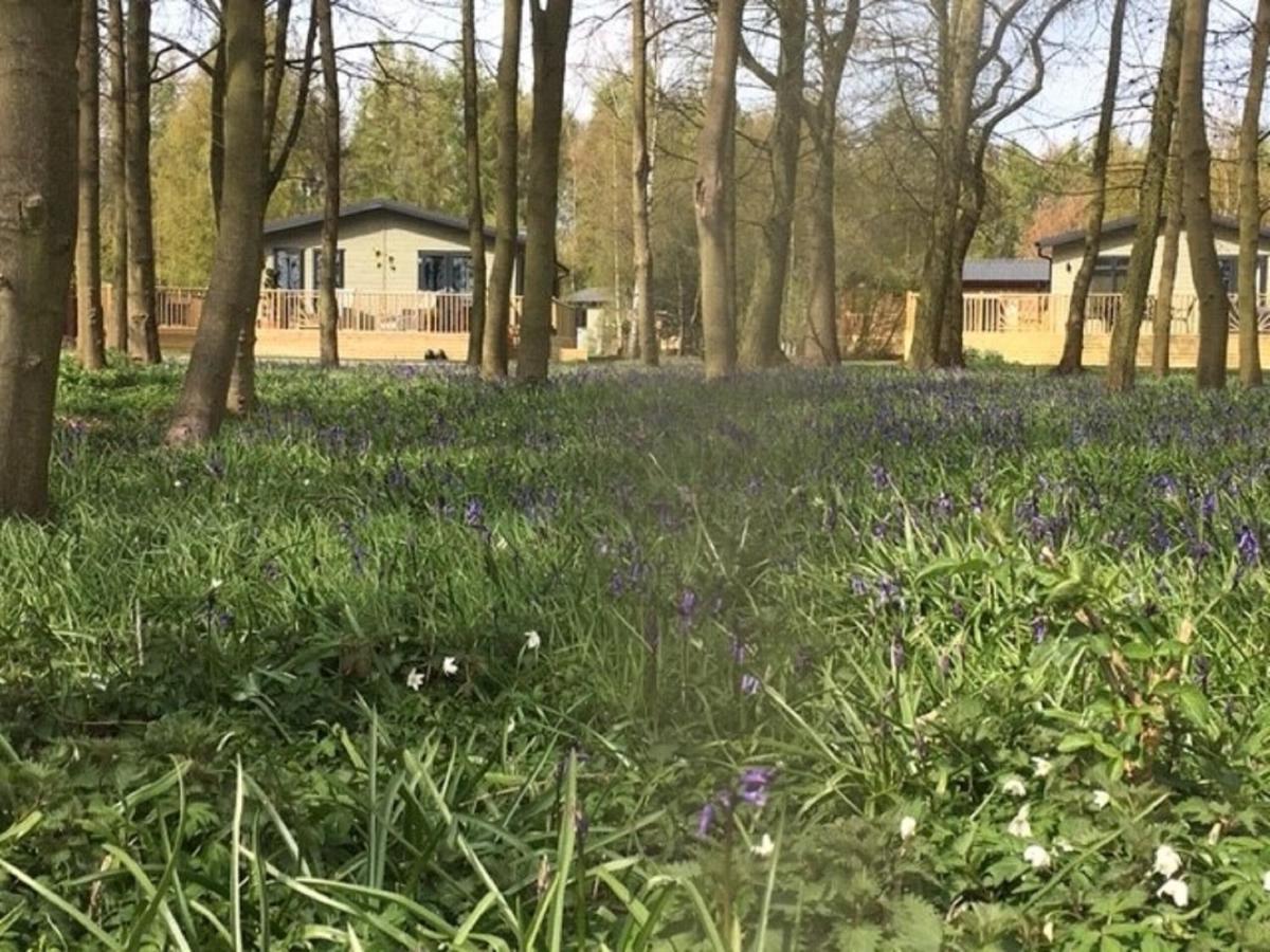 Hollicarrs - Stag Lodge York Ngoại thất bức ảnh