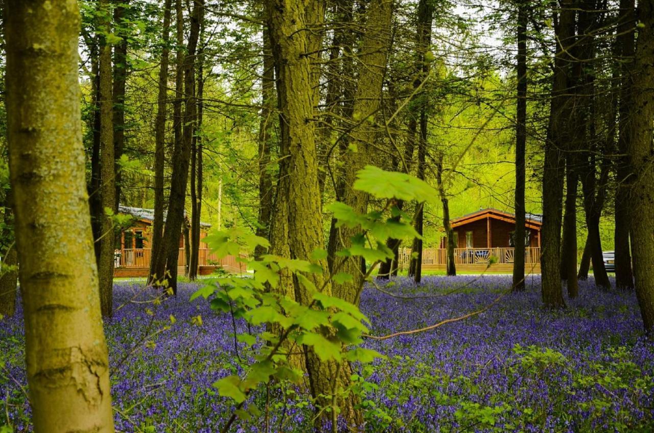 Hollicarrs - Stag Lodge York Ngoại thất bức ảnh