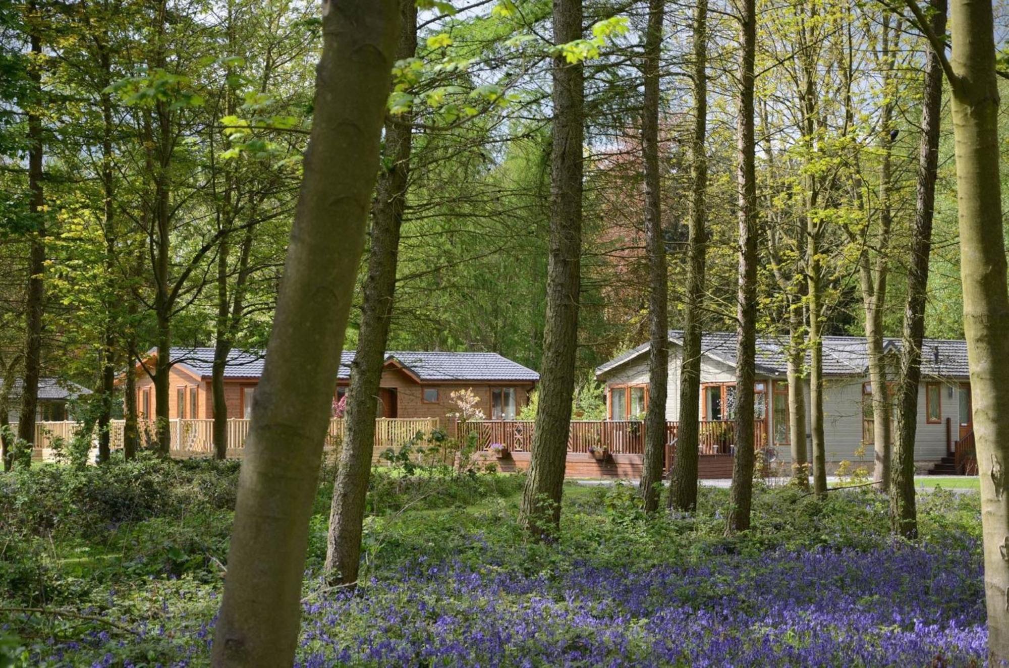 Hollicarrs - Stag Lodge York Ngoại thất bức ảnh